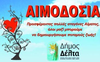 Αιμοδοσία στον Δήμο Δέλτα