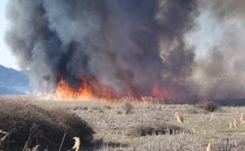 Απαγόρευση καύσης γεωργικών υπολειμμάτων στον Δήμο Δέλτα