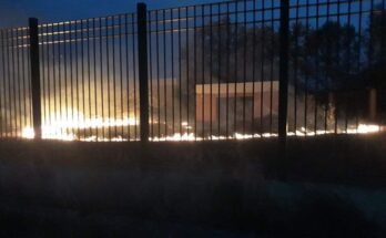 Φωτιά σε πάρκο στην Ν.Μαγνησία