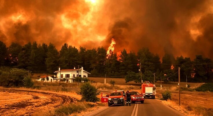 Φωτιές στην Εύβοια