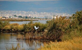 Καθαρισμός Γαλλικού Ποταμού