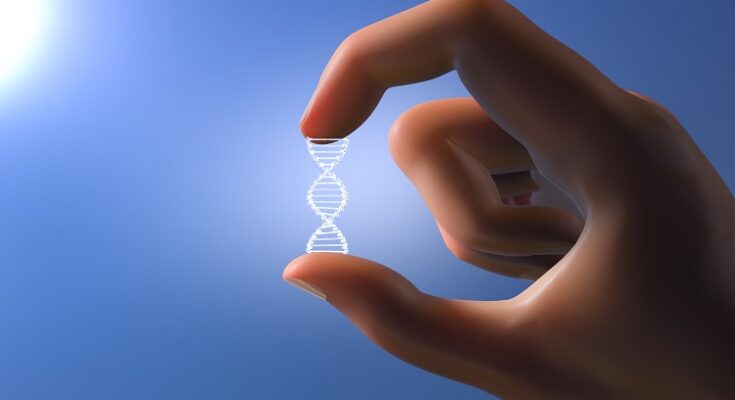 Γενετική γονίδια και κληρονομικότητα