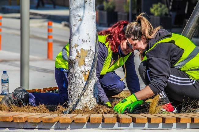 dimos-delta-louloudia-sta-parka