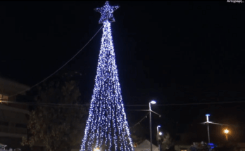 anama-xristougenniatikou-dendrou-xalastra