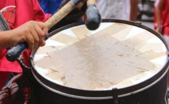 ksilokopisan-aniliko-se-agona-volei