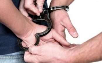 makrixeris-ipallilos-sta-malgara