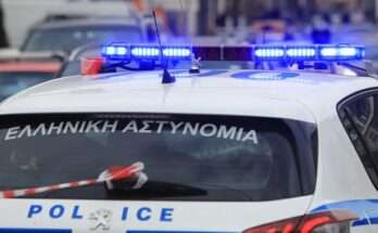 24xronos-prospathise-na-skotosi-tin-adelfi-tou